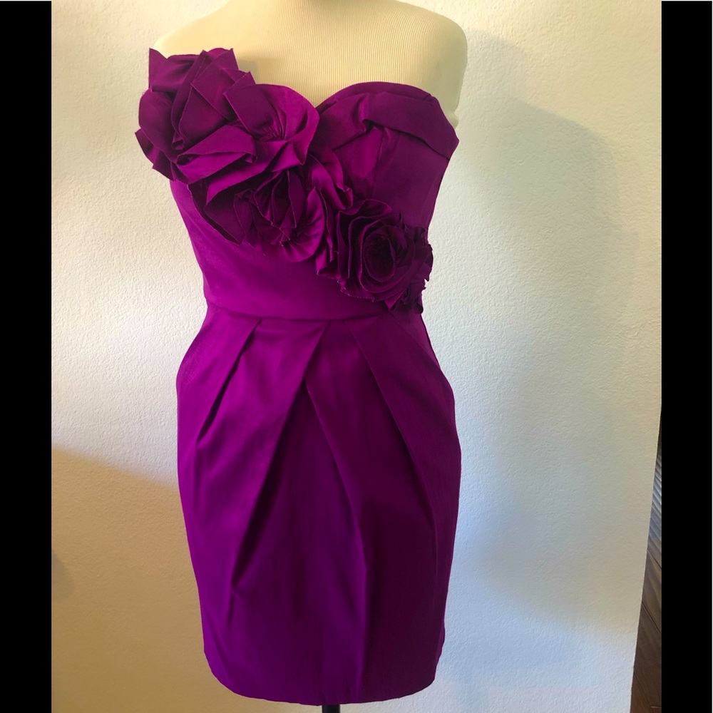 Max & Cleo rose wine dress size 4